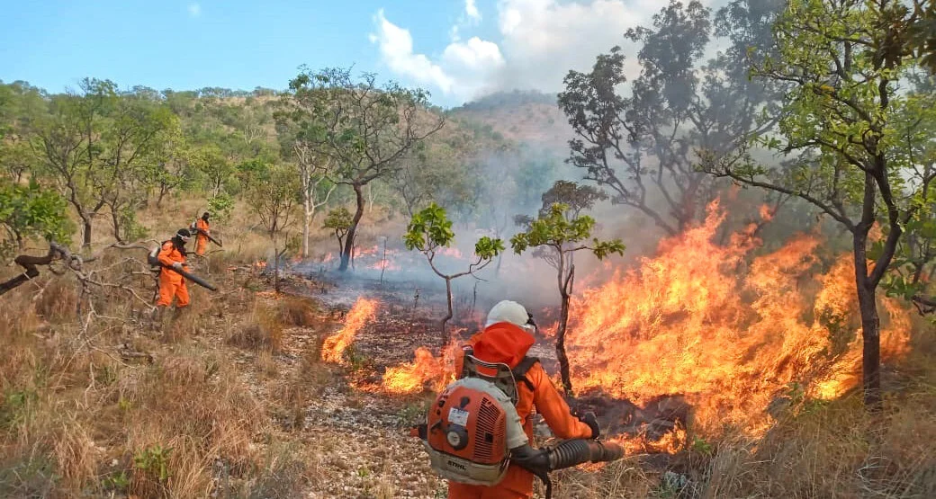 Mato Grosso lidera em municípios afetados por incêndios, seguido por Tocantins e São Paulo