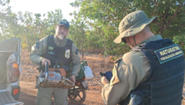 Fiscalização Naturatins, agentes encontraram motoserra e espingarda