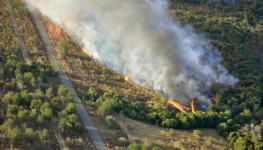 Tocantins é um dos estados com mais focos de incêndio no Brasil