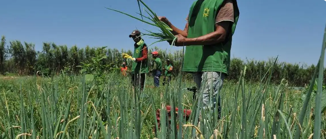 Incra destina area para reforma agrária