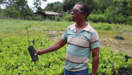 Imagem do líder rural Cícero com uma muda de planta