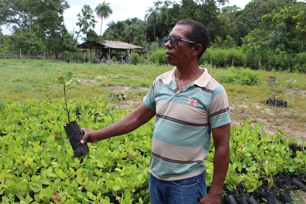 Imagem do líder rural Cícero com uma muda de planta