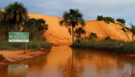 Dunas1