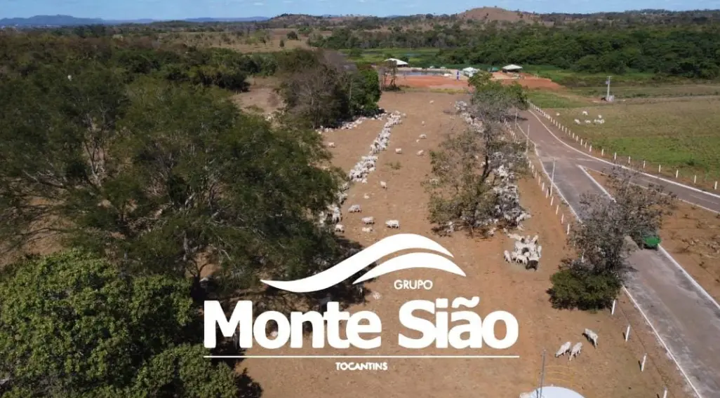 Captura de tela 2025-07-08 114419