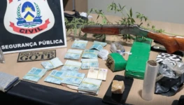 Drogas, uma espingarda e até um pé de maconha foram apreendidos