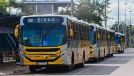Passe Livre foto Lia Mara