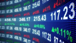 bolsa