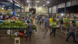 feira-304-sul-luciana-pires-6-1024x576