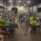 feira-304-sul-luciana-pires-6-1024x576