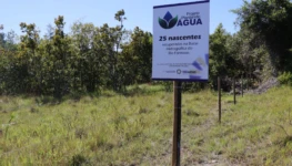 IMG_3547 Plantando Agua Formoso do Araguaia. Foto Marcel de Paula (1)