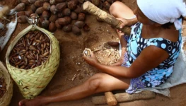 quebradeiras-de-coco-babacu-01