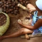 quebradeiras-de-coco-babacu-01