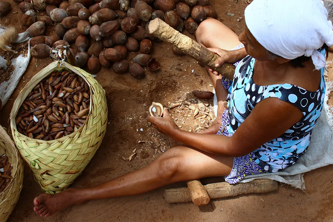 quebradeiras-de-coco-babacu-01