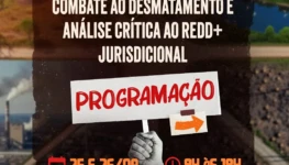 programação1