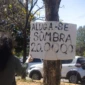 Você já imaginou ter que alugar ou comprar sombra para viver melhor na cidade Pois foi exatament