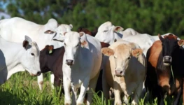 WhatsApp Image 2025-09-20 at 15.12.45