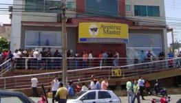 2006-avestruz-master-capa