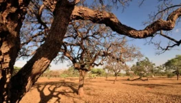 2018_01_31-Precisamos-falar-sobre-o-cerrado-RECURSOS-HIDRICOS