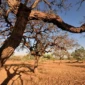 2018_01_31-Precisamos-falar-sobre-o-cerrado-RECURSOS-HIDRICOS