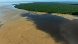 28896185-high-1024x683-1