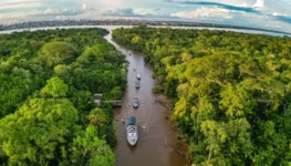 amazonia-1068x639-1