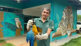 Animal foi levado para o Centro de Fauna do Tocantins – Foto Guarda Ambiental