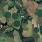 plantacao_de_satelite_001