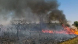 queimadas-cerrado-via-wikimedia-commons