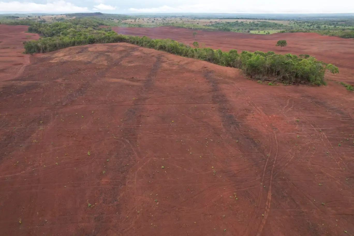 WhatsApp Image 2025-10-15 at 22.01.45