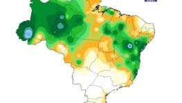 WhatsApp Image 2025-10-28 at 15.17.26