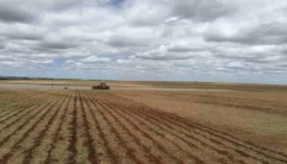 WhatsApp Image 2025-10-31 at 15.21.18 (1)