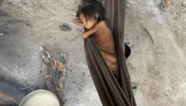 16205511566097a5f4d8af9_1620551156_3x2_lg