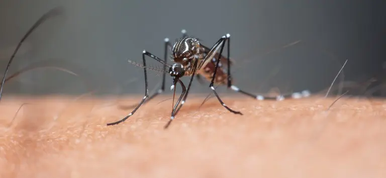 4cf09cb3-b9ef-4bb9-b2d2-0bce50301545