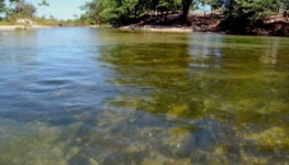 948-114604-arquipelago-do-tropeco-peixe-tocantins-rr-foto-marcio-vieiragr