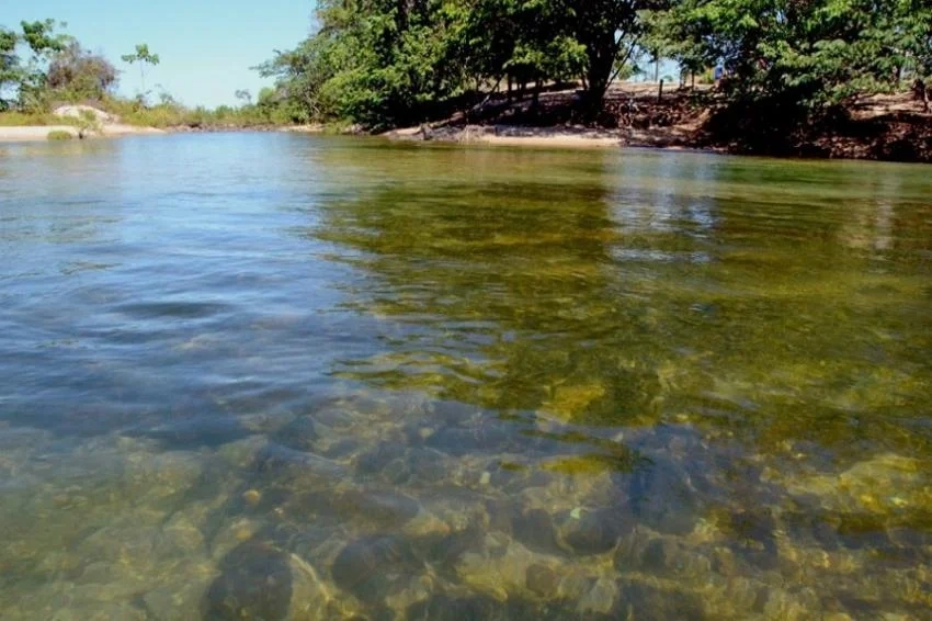 948-114604-arquipelago-do-tropeco-peixe-tocantins-rr-foto-marcio-vieiragr