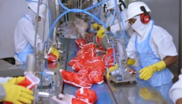 F1-Com a aprovação de 36 incentivos fiscais Tocantins gera cerca de 3000 empregos - Flávio Cavalera - Governo do Tocantins