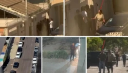 Galeria de 6 Imagens (13)