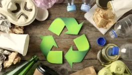 WhatsApp Image 2025-10-31 at 14.59.10