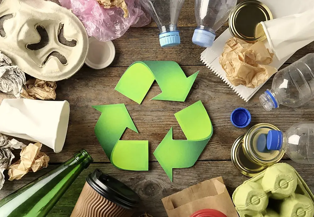 WhatsApp Image 2025-10-31 at 14.59.10