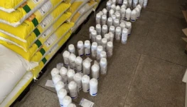 WhatsApp Image 2025-11-12 at 14.08.52