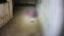 WhatsApp Image 2025-11-22 at 09.29.16