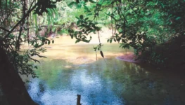 Captura de tela de 2025-12-11 11-08-51 (1)