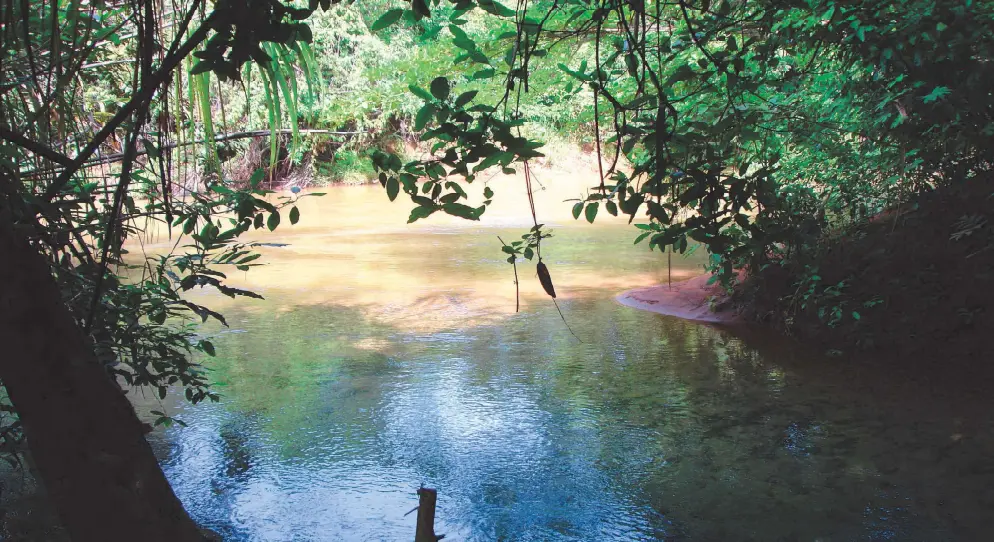 Captura de tela de 2025-12-11 11-08-51 (1)