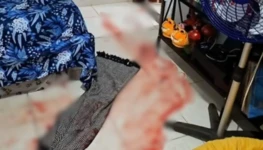 Design sem nome (29)