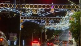 e142076d-be89-4c78-ab20-67fb90f43510