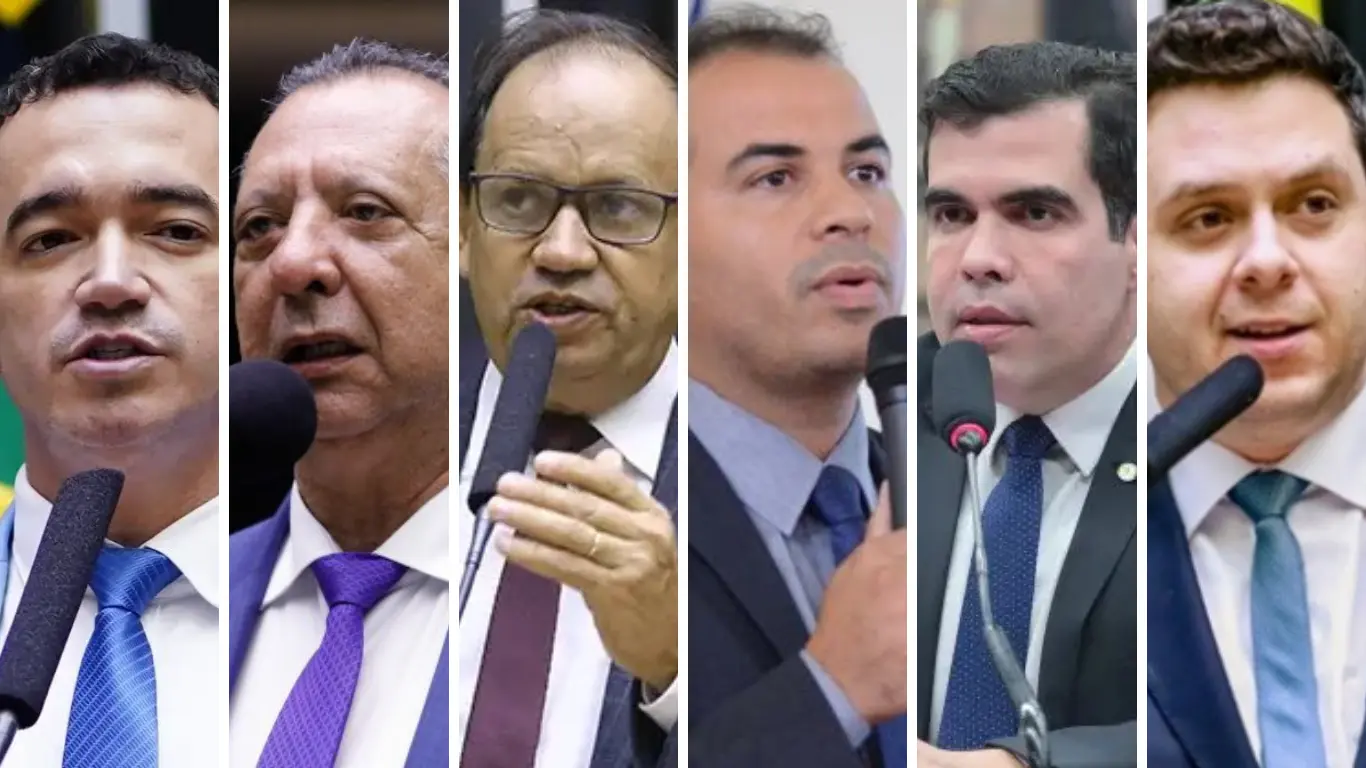 Galeria de 6 Imagens (21)