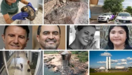 Galeria de 6 Imagens (4)