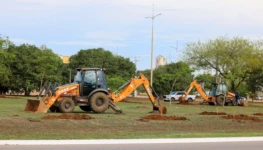 Máquinas trabalham na cova e preparo do solo para o plantio das árvores nativas na Av. Siqueira Campos – Foto Regiane Rocha