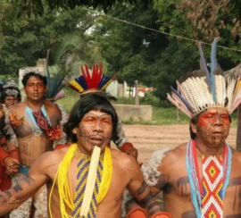 Screenshot 2025-12-02 145137