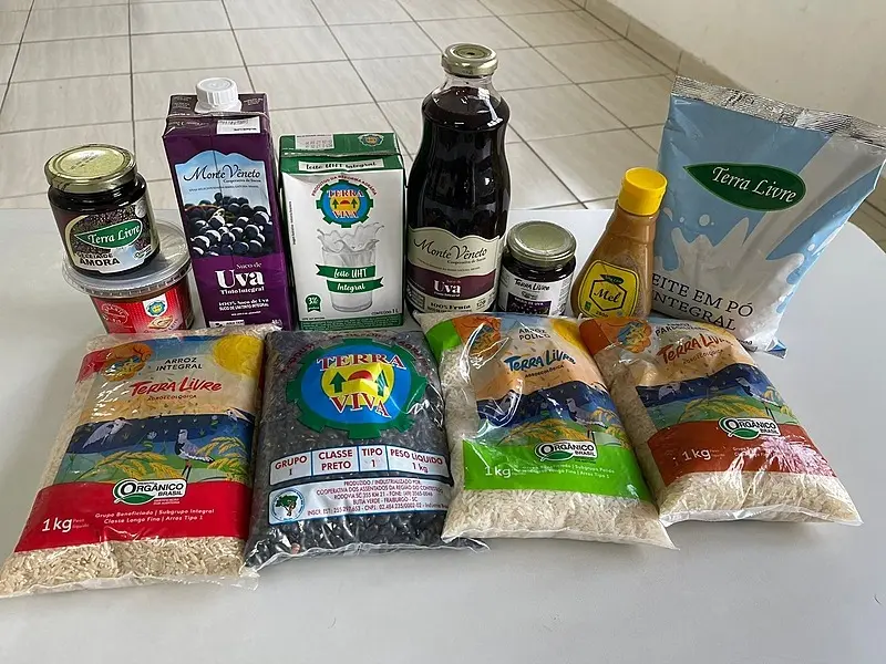 WhatsApp Image 2025-12-02 at 16.48.29